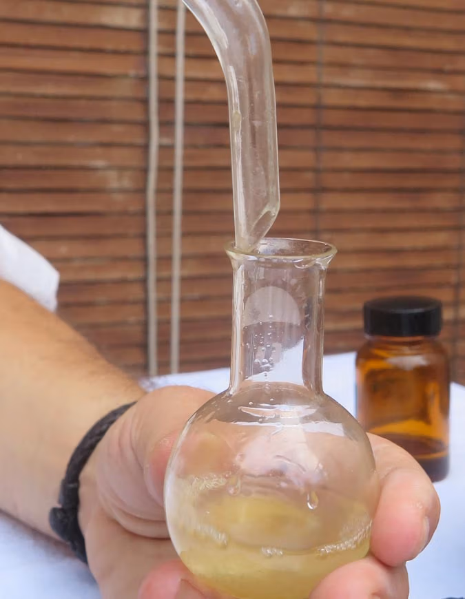 Imagen del proceso de elaboración y obtención de aceites esenciales de Arboleda Cosmética.